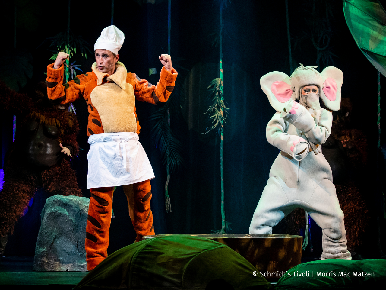 Der achtsame Tiger - Morris Mac Matzen