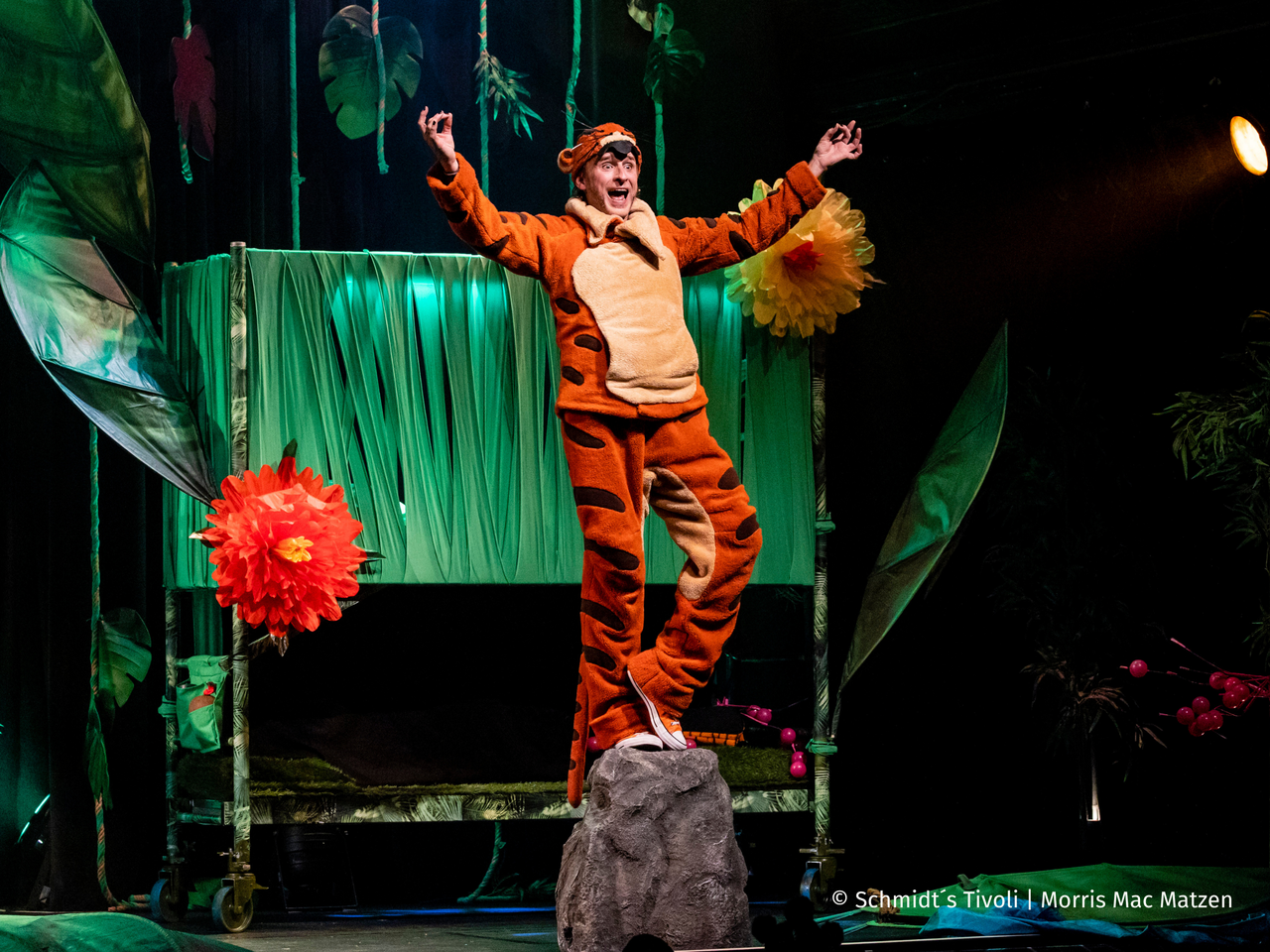 Der achtsame Tiger - Morris Mac Matzen